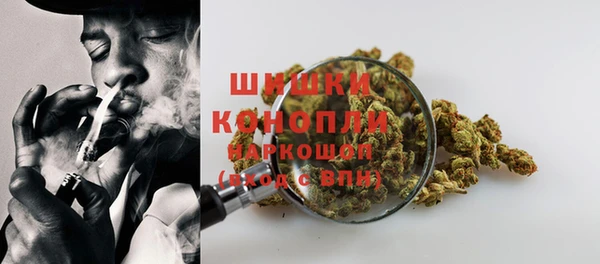 дживик Ладушкин