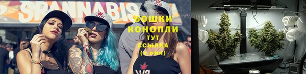 дживик Ладушкин