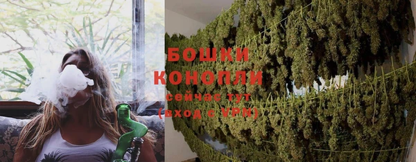дживик Ладушкин