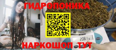 эйфоретик Гусев