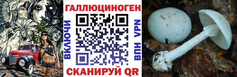 Галлюциногенные грибы Psilocybe  Мариинск 