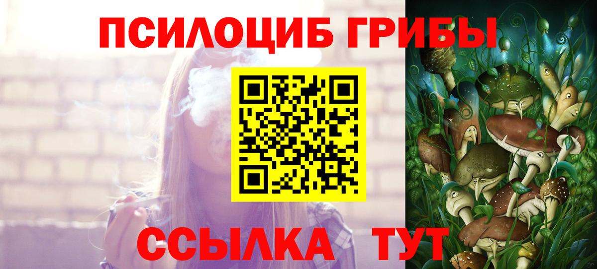 Галлюциногенные грибы GOLDEN TEACHER  Вход с VPN  Мариинск 
